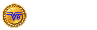 Valobit Technology Logo